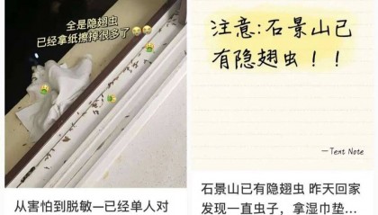 北京家住17层，屋内发现隐翅虫，专家：高层绝非“安全区”，碘伏、盐水、牙膏、酱油都别用