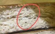 恶心！知名连锁超市未拆封鸡蛋面现大量黑色活虫！涉事门店回应