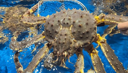 “蟹刺不同！”顾客发现帝王蟹被掉包，把商家告了！判决结果……