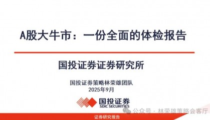 A股大牛市：一份全面的体检报告