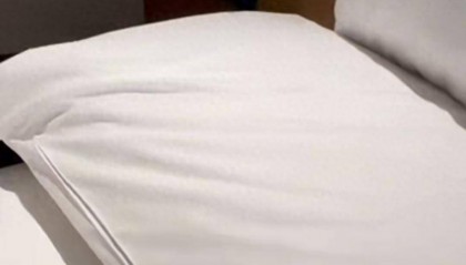 “连换5间房，每间床上都有活虫！”上海新开高档酒店回应