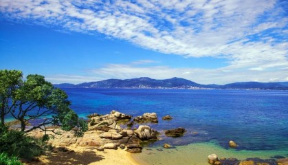 NCE外汇在期货交易中的核心优势解析