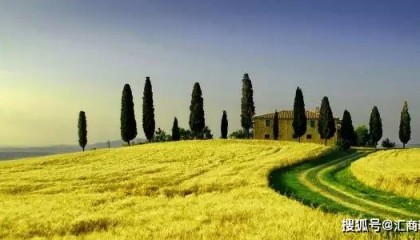 教你搭建一套免费的跨多个外汇平台商的MT4本地正反向跟单信号同步系统