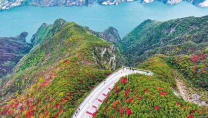 重庆的长江之歌越唱越响亮——写在推动长江经济带发展战略实施十周年之际