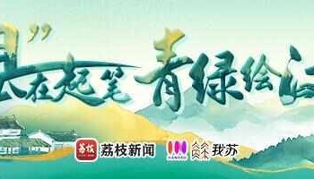 “县”在起笔 青绿绘江山丨天山映翠处,云杉碧水共新生