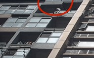 从16楼坠下！突发巨大声响，居民恐慌报警！刘某某（男，31岁），刑拘