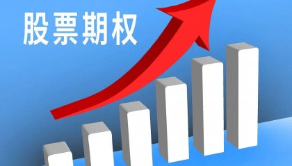 个股期权怎么交易？盈利如何计算？