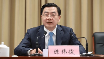 新疆维吾尔自治区人民政府副主席陈伟俊被免职
