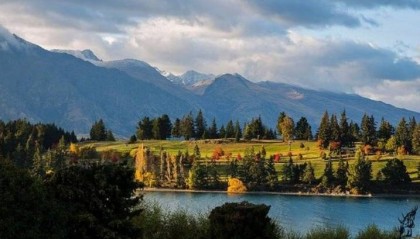 如何在NCE外汇平台上优化交易策略?