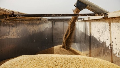 全球粮食供应链危机对期货市场的推升作用—— DLSM外汇