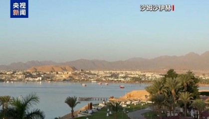 哈马斯、普京最新发声!