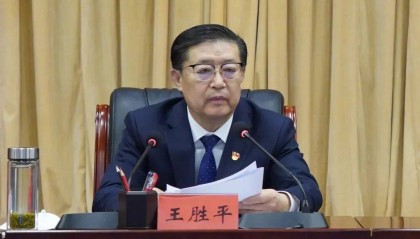 王胜平，被查