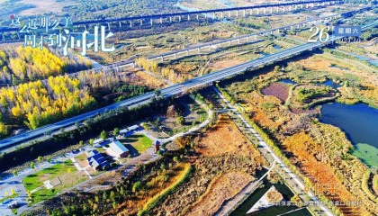 河北省纪委监委公开通报