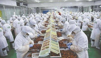 消泡剂有哪几种