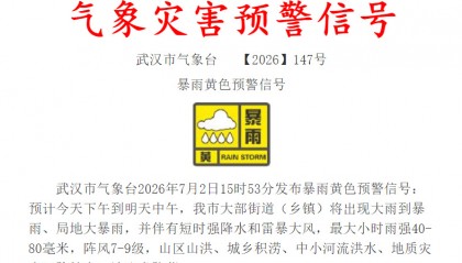 武汉市发布暴雨黄色预警，今晚至明天有大雨到暴雨、局地大暴雨