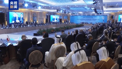 埃及外长：任何情况下都不接受巴勒斯坦人被迫迁移