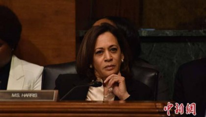 为何不是哈里斯？