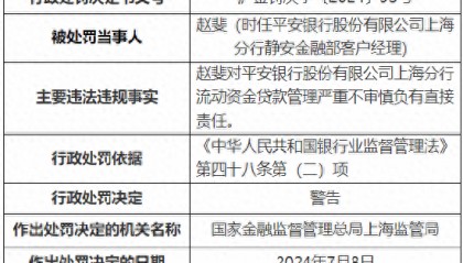 对流动资金贷款管理严重不审慎负有直接责任 平安银行上海分行两人被罚