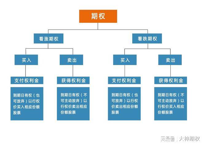 期权分类有哪几种？