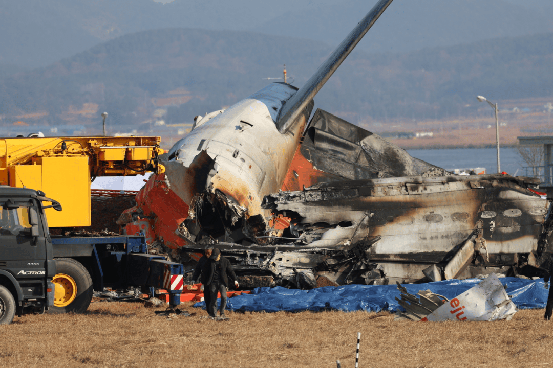 空难幸存33岁空少恐全身瘫痪！机场原为4人防鸟活动当天仅2人值班