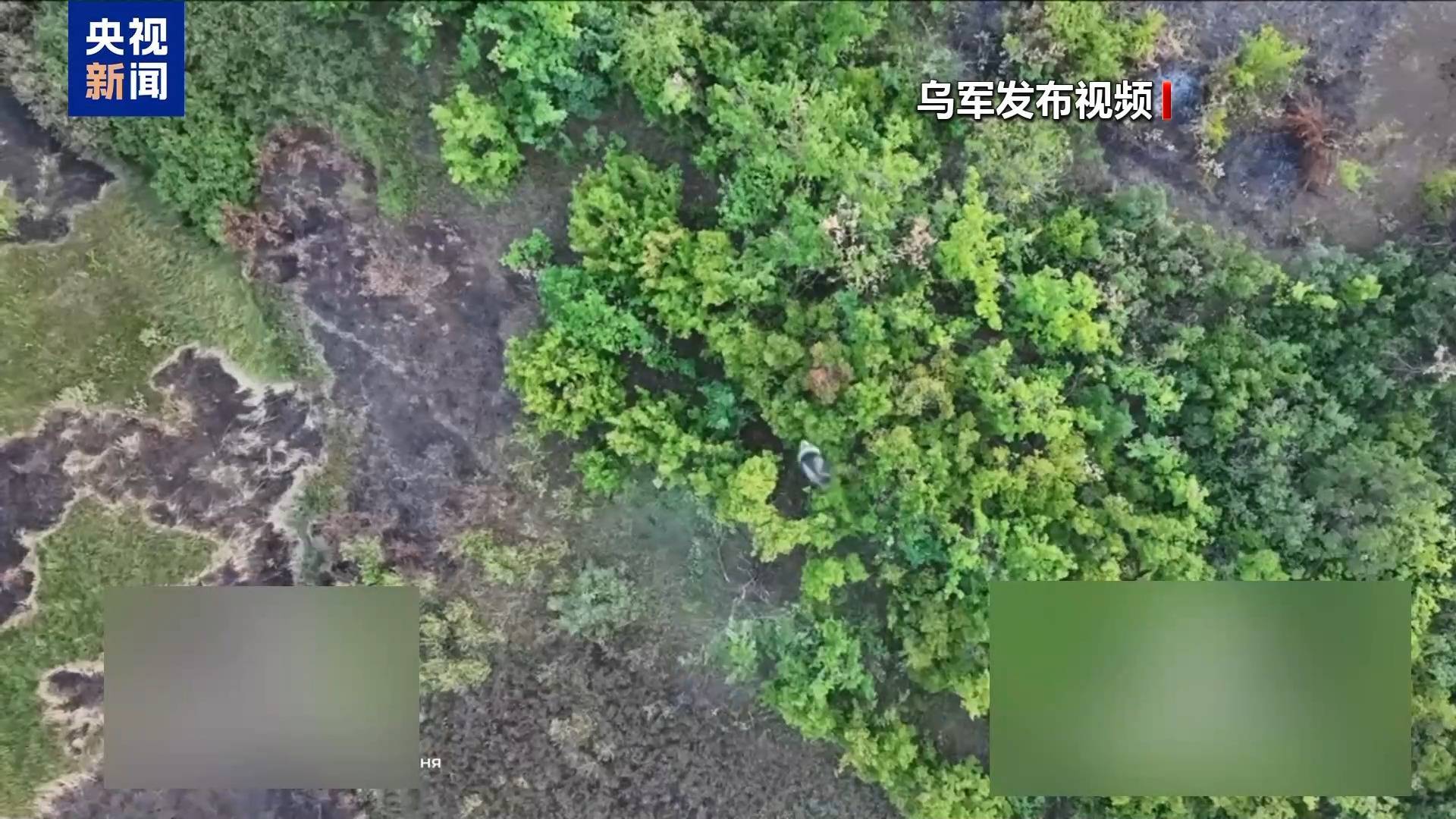 “特普会”在即 欧美乌通气确定对俄立场