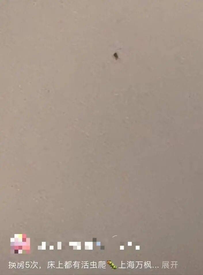“连换5间房，每间床上都有活虫！”上海新开高档酒店回应