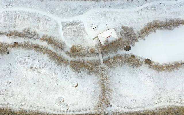 百年难遇“早立冬”来了!有啥讲究?早看早准备!