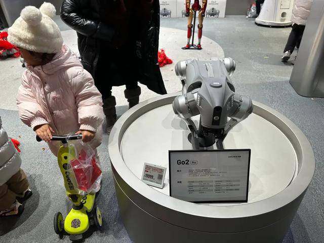 宇树机器人这一年：钱很多，心很急