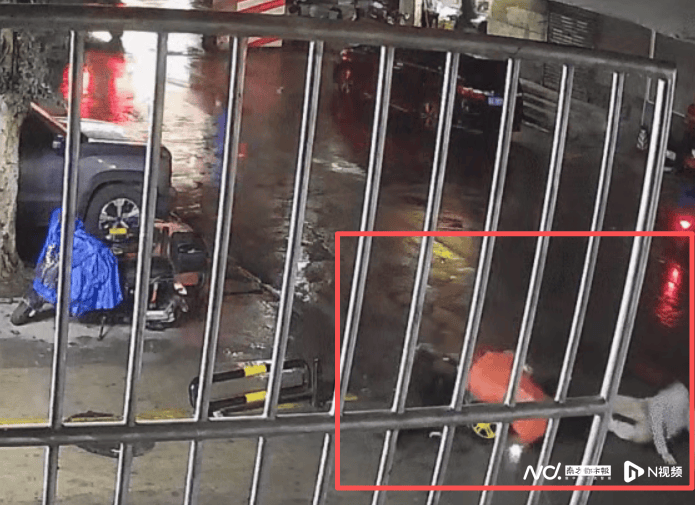 东莞无牌共享电动自行车失控撞死路人，投放车辆企业被追责