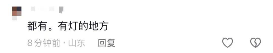 山东济南一广场突现“知了大军”密密麻麻，网友留言“你们咋不吃”